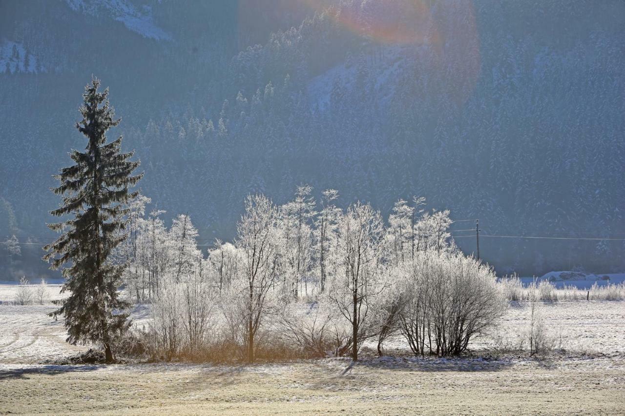 Ferienwohnungen Hager Gosau Esterno foto