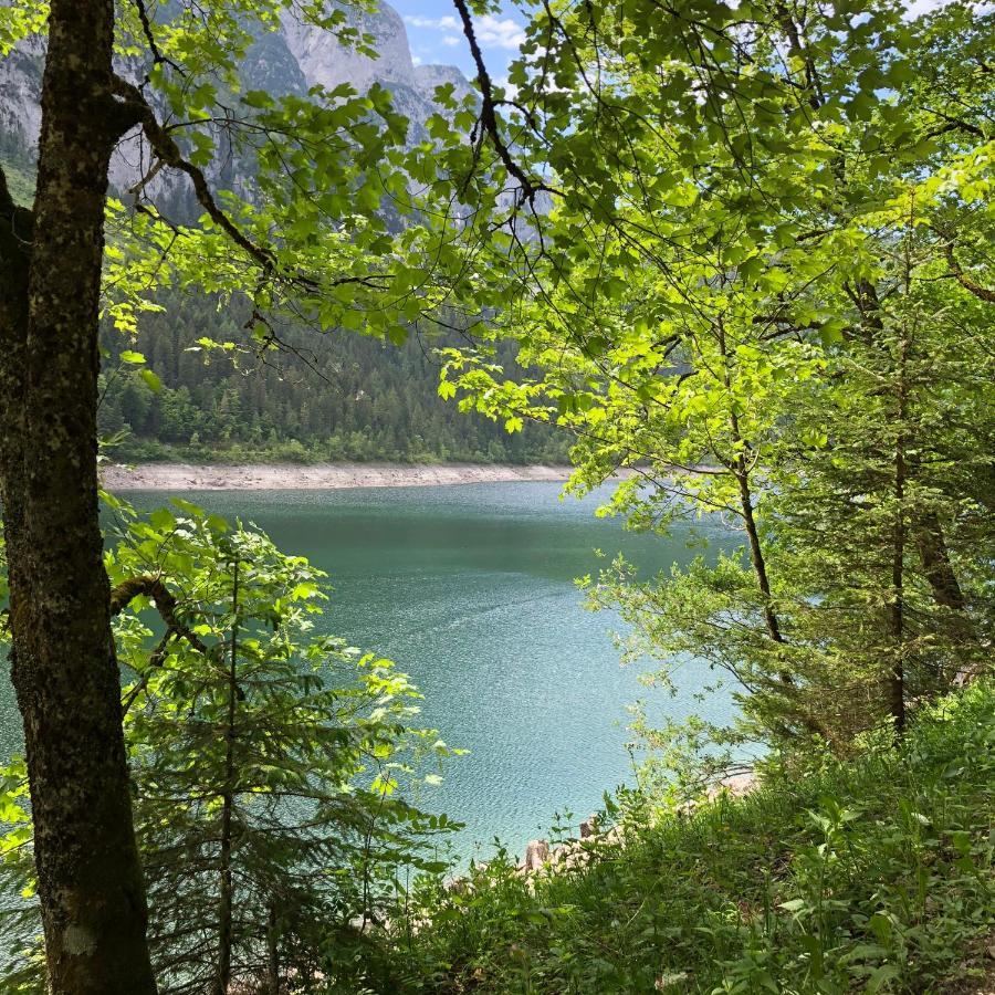 Ferienwohnungen Hager Gosau Esterno foto